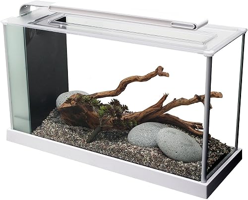 Fluval Spec 5 Gallon Aquarium Kit